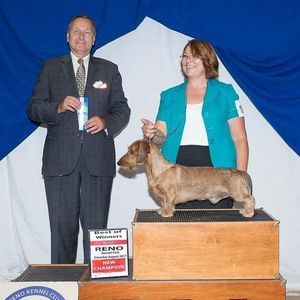 Meet your Posher, Leslie